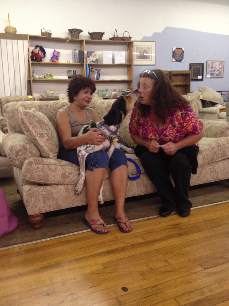 Patrons at the CVAS thrift store take a moment to snuggle with one of their furry friends. Photo by Sharielle Lawrence-Cadet