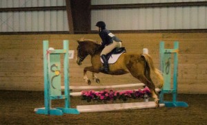 Danniele Fulmer '17 competes "Southern Belle" in the Spring Horse Show Series Photo provided by Keona Fogel