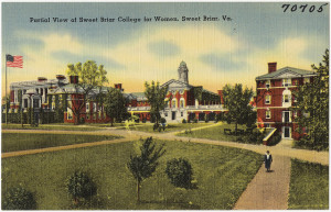 Sweet Briar  Photo Provided by Creative Commons